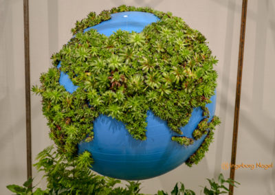 Blumenschau 'Heimatliebe' Schwäbisch Gmünd - Remstalgartenschau 2019 15 Schwäbisch Gmünd Remstalgartenschau 2019 Blumenschau