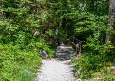 Im Zauberwald bei Ramsau 11 Zauberwald bei Ramsau