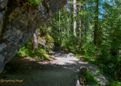 Im Zauberwald bei Ramsau 13 Zauberwald bei Ramsau