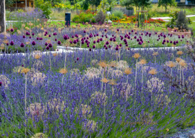 Himmelsgarten Schwäbisch Gmünd