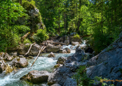 Im Zauberwald bei Ramsau 16 Zauberwald bei Ramsau
