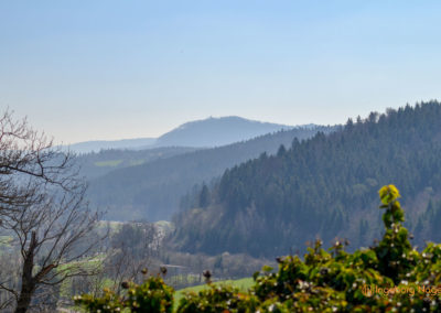 Kloster Lorch 35 Kloster Lorch