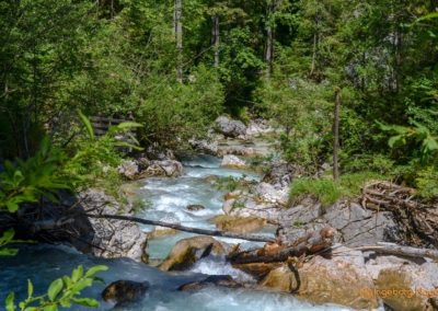 Im Zauberwald bei Ramsau 17 Zauberwald bei Ramsau