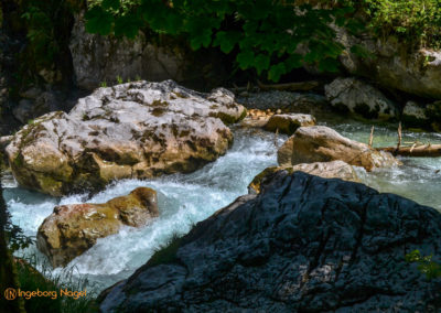 Im Zauberwald bei Ramsau 18 Zauberwald bei Ramsau