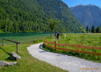 Königssee