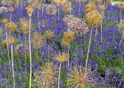 Himmelsgarten Schwäbisch Gmünd