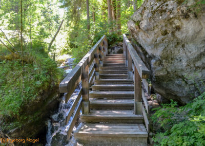 Im Zauberwald bei Ramsau 19 Zauberwald bei Ramsau