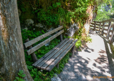 Im Zauberwald bei Ramsau 20 Zauberwald bei Ramsau