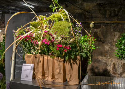 Schorndorf Remstalgartenschau 2019 Blumenschau Heilpflanzen
