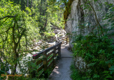Im Zauberwald bei Ramsau 21 Zauberwald bei Ramsau