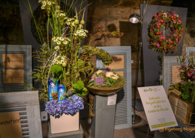 Schorndorf Remstalgartenschau 2019 Blumenschau Heilpflanzen