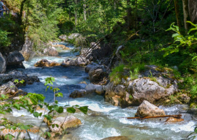 Im Zauberwald bei Ramsau 32 Zauberwald bei Ramsau