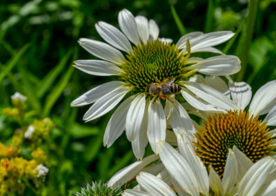 Himmelsgarten Schwäbisch Gmünd
