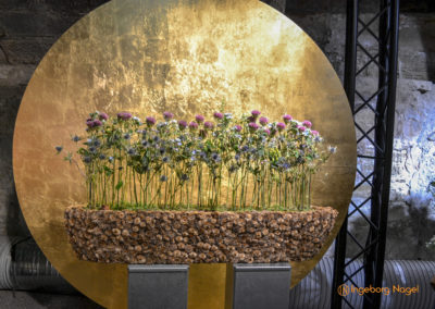 Schorndorf Remstalgartenschau 2019 Blumenschau Heilpflanzen