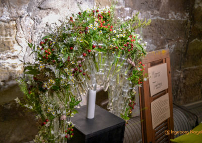 Schorndorf Remstalgartenschau 2019 Blumenschau Heilpflanzen