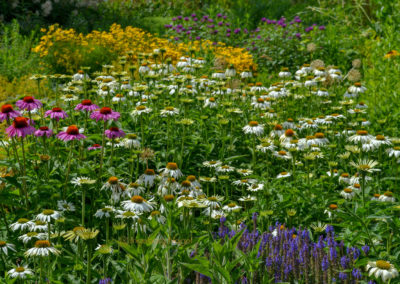 Himmelsgarten Schwäbisch Gmünd