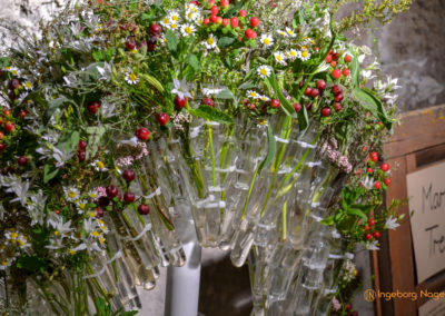 Schorndorf Remstalgartenschau 2019 Blumenschau Heilpflanzen