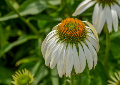 Himmelsgarten Schwäbisch Gmünd