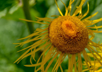 Himmelsgarten Schwäbisch Gmünd