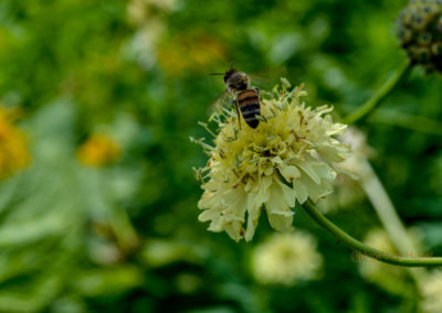 Himmelsgarten Schwäbisch Gmünd