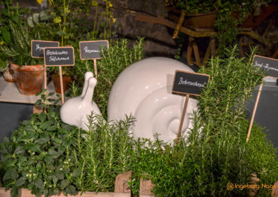 Schorndorf Remstalgartenschau 2019 Blumenschau Heilpflanzen