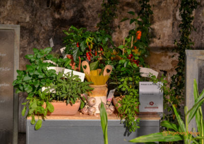 Schorndorf Remstalgartenschau 2019 Blumenschau Heilpflanzen