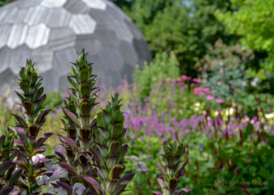 Himmelsgarten Schwäbisch Gmünd