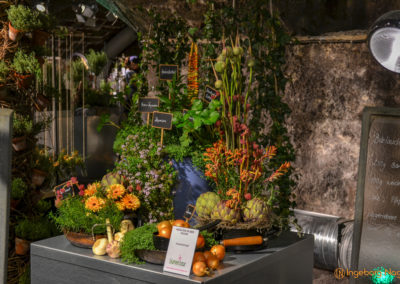 Schorndorf Remstalgartenschau 2019 Blumenschau Heilpflanzen