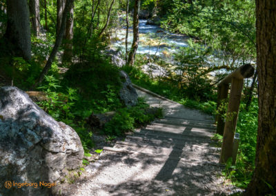 Im Zauberwald bei Ramsau 28 Zauberwald bei Ramsau