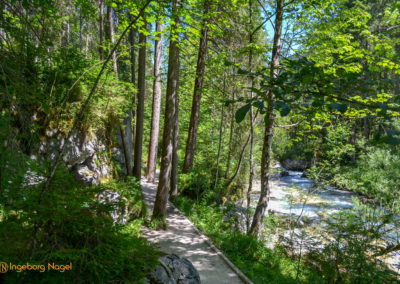 Im Zauberwald bei Ramsau 29 Zauberwald bei Ramsau