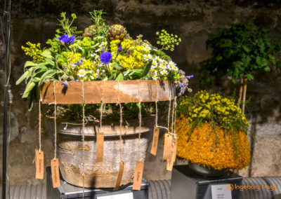Schorndorf Remstalgartenschau 2019 Blumenschau Heilpflanzen