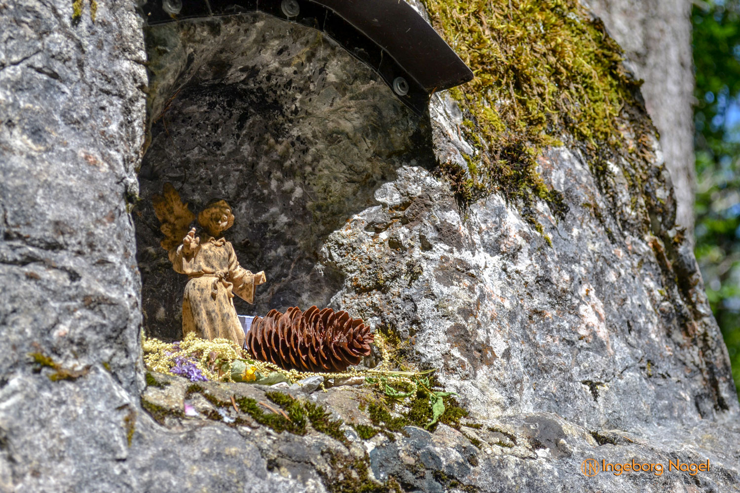 Im Zauberwald bei Ramsau 36 Zauberwald bei Ramsau