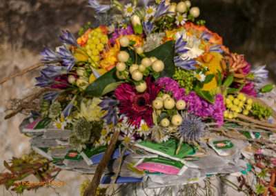 Schorndorf Remstalgartenschau 2019 Blumenschau Heilpflanzen