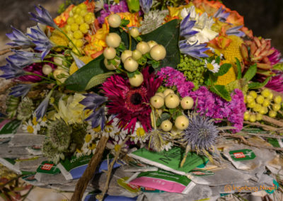 Schorndorf Remstalgartenschau 2019 Blumenschau Heilpflanzen