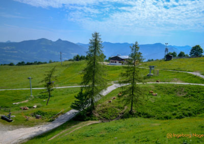 Die Rossfeld-Panoramastraße 1 Rossfeld-Panoramastraße