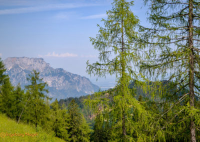 Die Rossfeld-Panoramastraße 3 Rossfeld-Panoramastraße