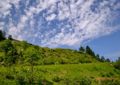 Die Rossfeld-Panoramastraße 4 Rossfeld-Panoramastraße
