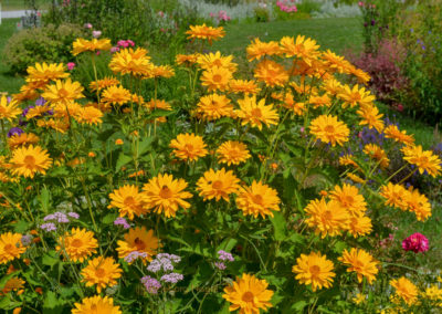 Himmelsgarten Schwäbisch Gmünd