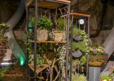 Schorndorf Remstalgartenschau 2019 Blumenschau Heilpflanzen