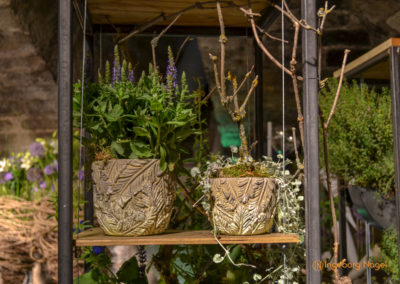 Schorndorf Remstalgartenschau 2019 Blumenschau Heilpflanzen