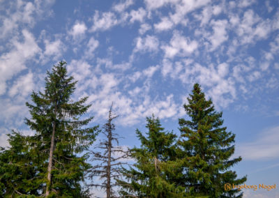 Die Rossfeld-Panoramastraße 7 Rossfeld-Panoramastraße