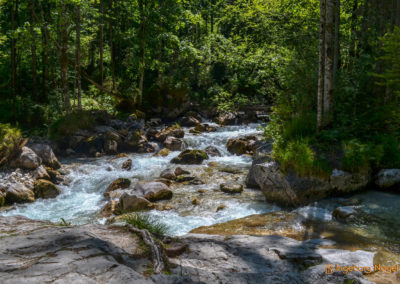 Im Zauberwald bei Ramsau 34 Zauberwald bei Ramsau