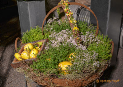 Schorndorf Remstalgartenschau 2019 Blumenschau Heilpflanzen