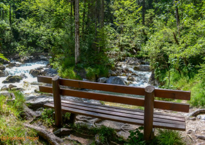 Im Zauberwald bei Ramsau 31 Zauberwald bei Ramsau