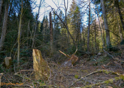 Eistobel bei Maierhöfen