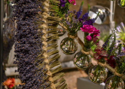 Schorndorf Remstalgartenschau 2019 Blumenschau Heilpflanzen