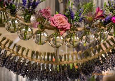 Schorndorf Remstalgartenschau 2019 Blumenschau Heilpflanzen