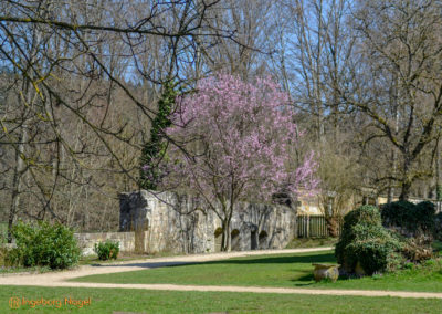 Kloster Lorch 9 Kloster Lorch