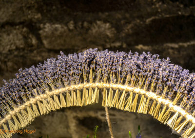 Schorndorf Remstalgartenschau 2019 Blumenschau Heilpflanzen