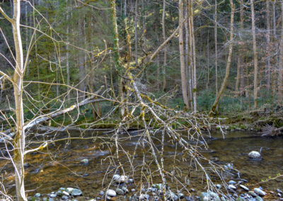 Eistobel bei Maierhöfen